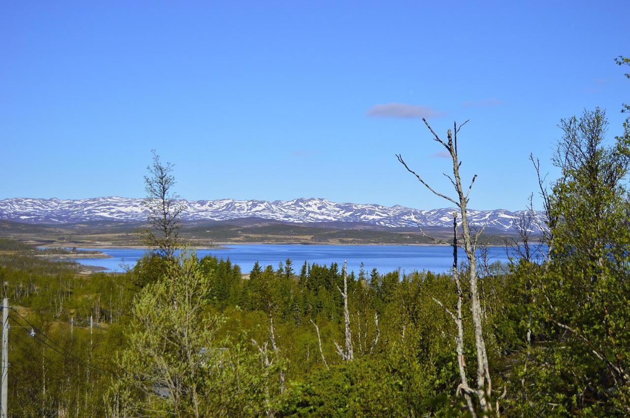 Skinnarbu Sneiselii